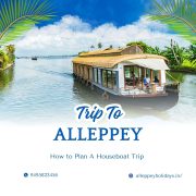 Best houseboat in Alappuzha