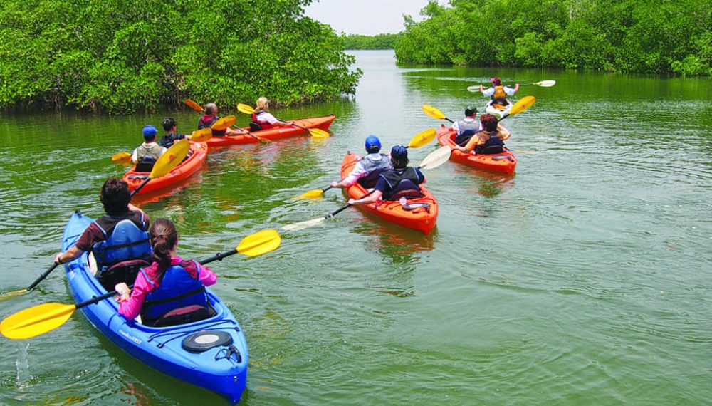 Kayaking-in-Alleppey2